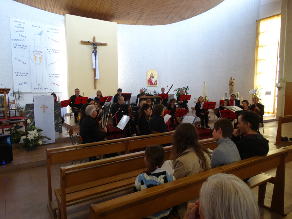 DSC05496 (2)